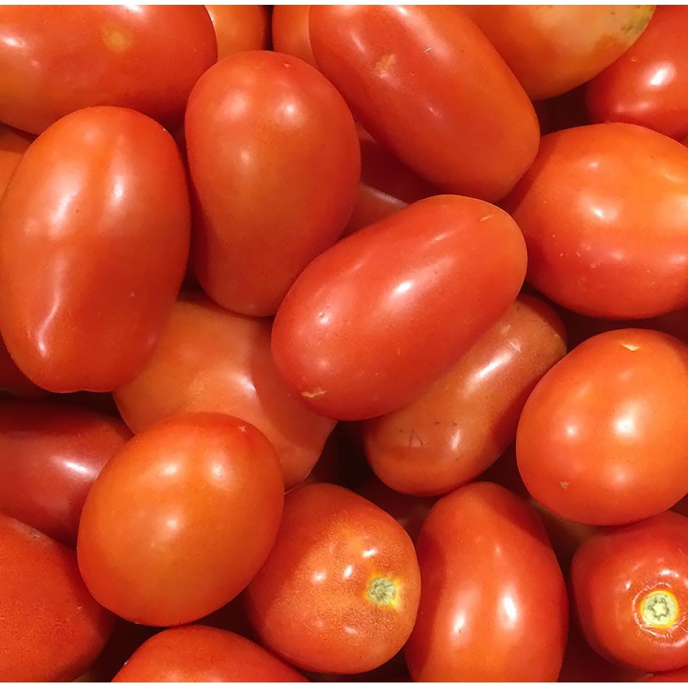   Tomatoes - Roma - Assorted Sizes