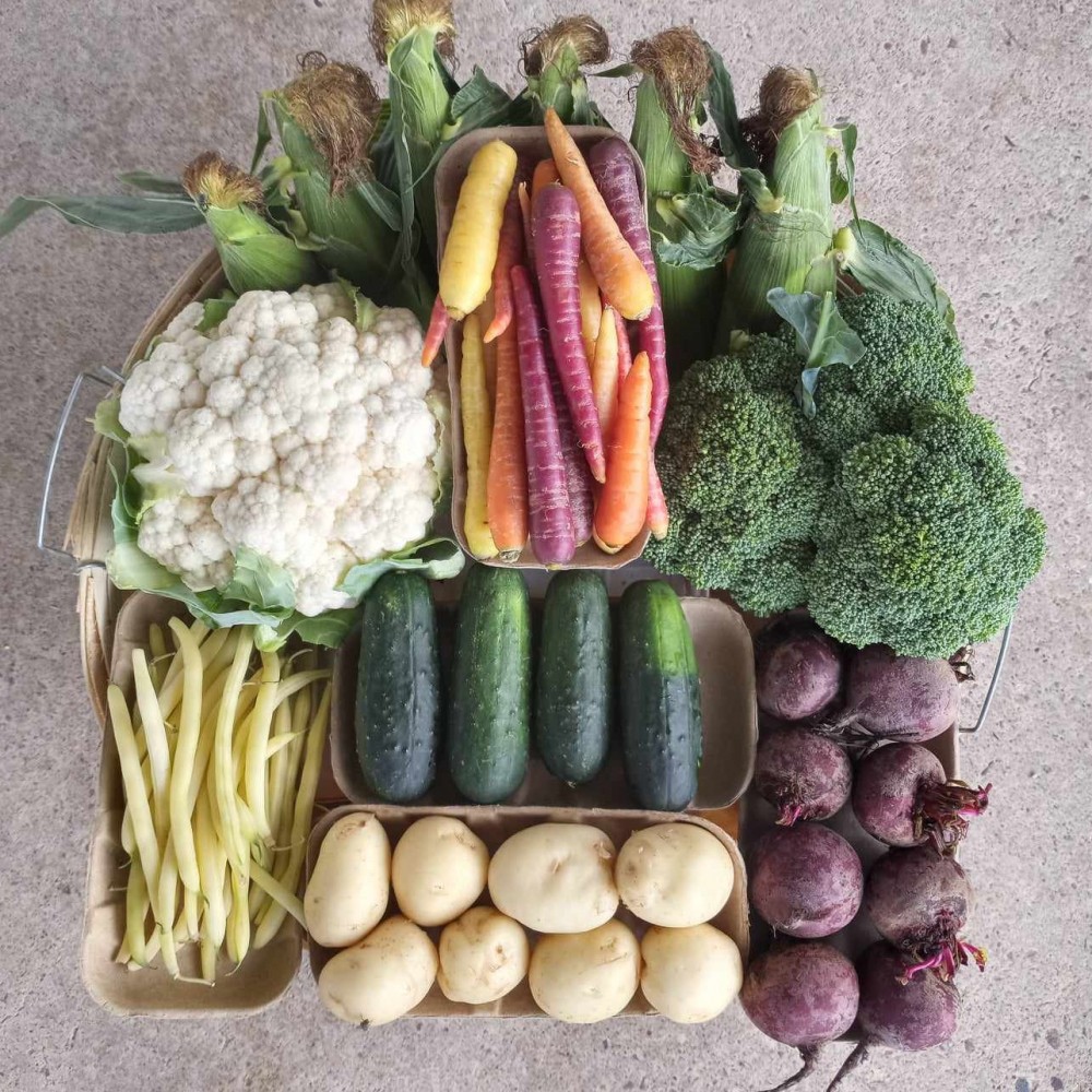 Vegetable Box - Weekly  (12 weeks Mid June - Sept)