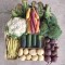 Vegetable Box - 12 weeks - Ontario - Avail June - Oct