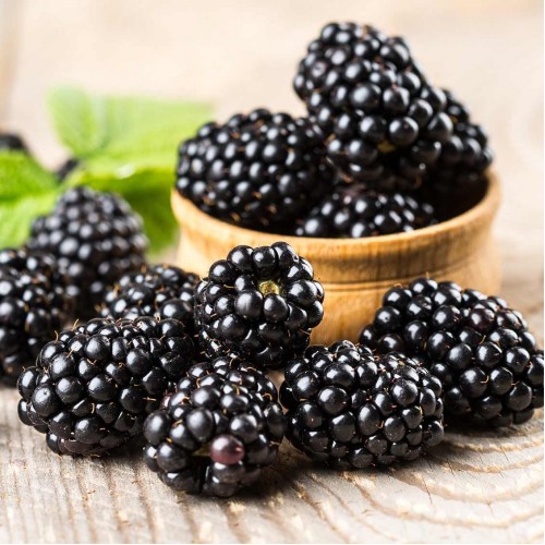 Blackberries 