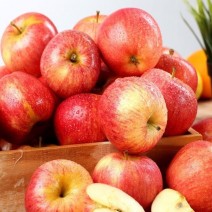 Apple - Gala - Organic - Ontario - 25 lbs