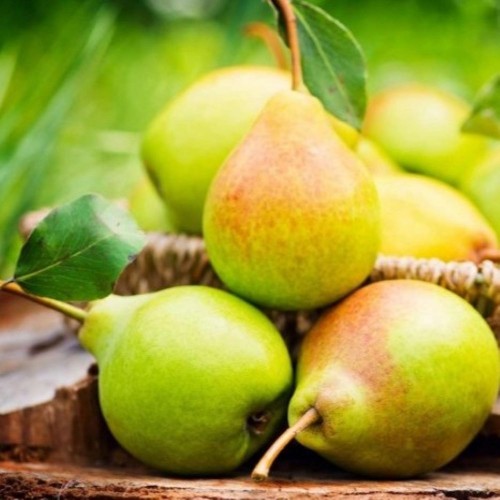 Pears - Bartlett - Organic - 90-100 count