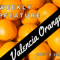 Orange - Valencia - Organic - 48 Count