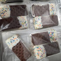 Mini Bars - Freeze Dried Ice Cream Bars