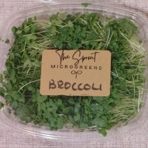 Microgreens - Broccoli - 1.5 oz