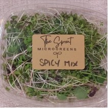Microgreens - Spicy Mix - 1.5 oz
