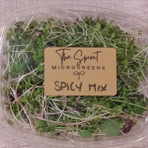 Microgreens - Spicy Mix - 1.5 oz