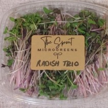 Microgreens- Radish - 1.5 oz