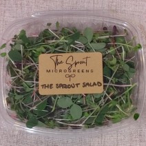 Sprout Salad - 3 oz