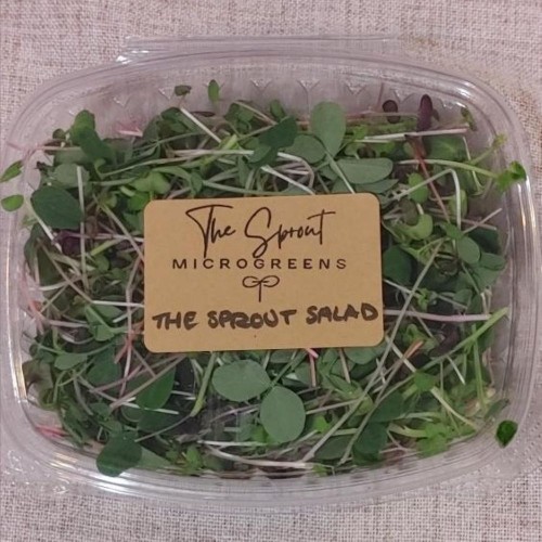Sprout Salad - 3 oz