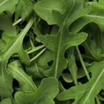 Arugula - Locally Grown