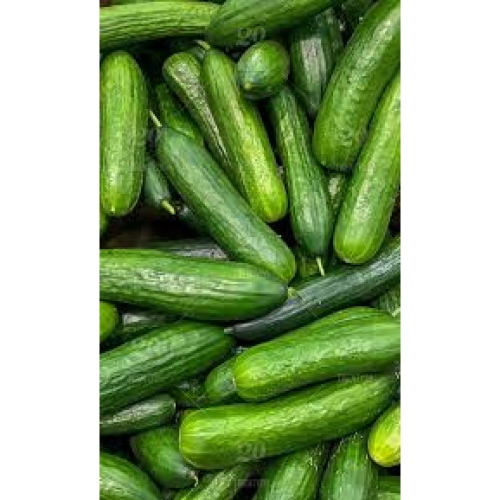 Field Cucumbers  4 for $5 or 10 for $8