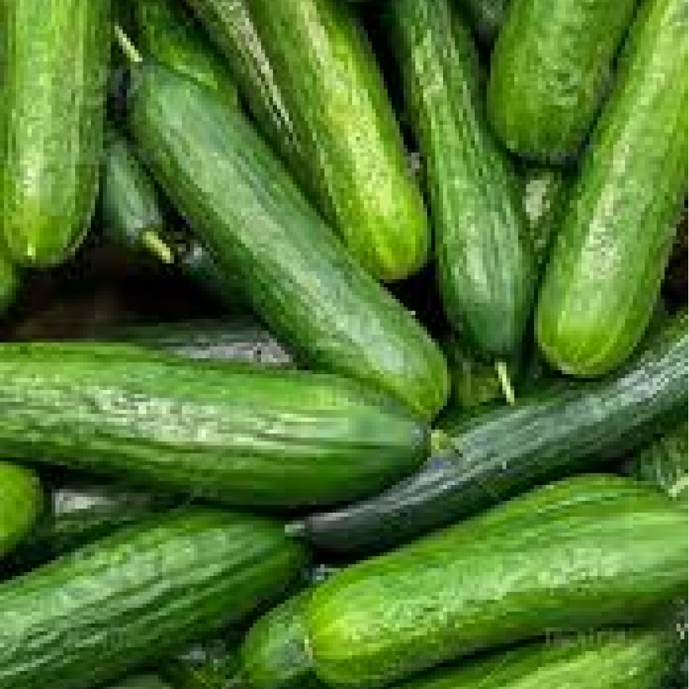 Field Cucumbers  4 for $5 or 10 for $8