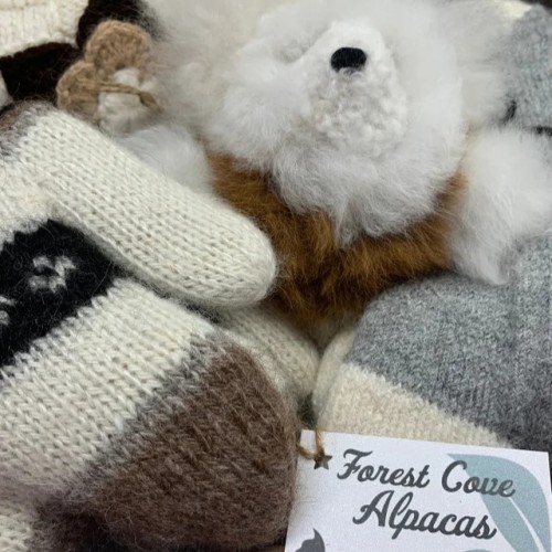 All Alpaca  Garment Gift Box