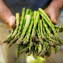 Asparagus - Ontario - 1/2 lb