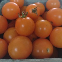 Tomatoes - Cherry - Locally Grown - 1 lb