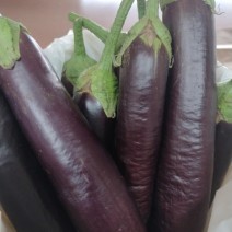 Eggplant - Lebanese Style - Locally Grown - Each