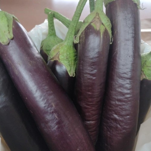 Eggplant - Lebanese Style - Locally Grown - Each