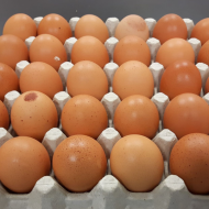 Eggs - Beking's - Roam Free (Assorted sizes)