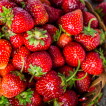 Strawberries - Locally Grown 